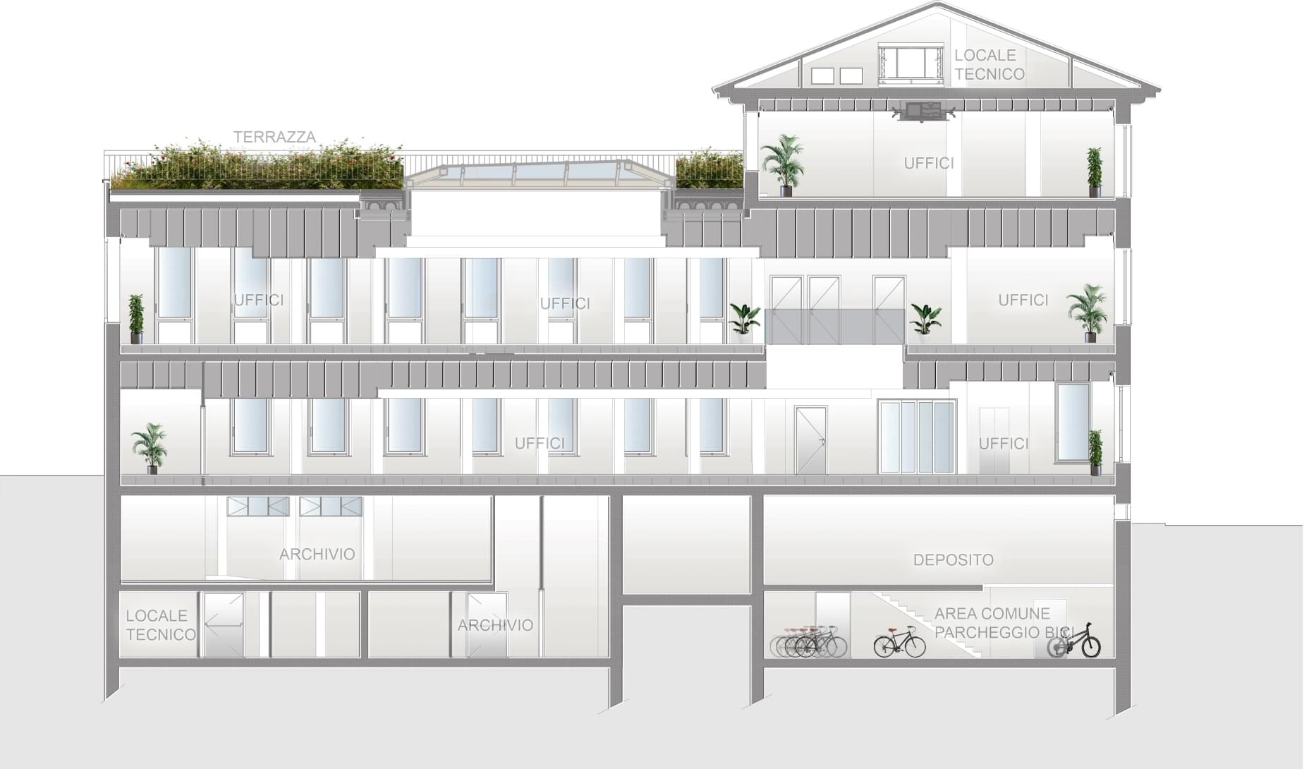 Sezione AA senza scala